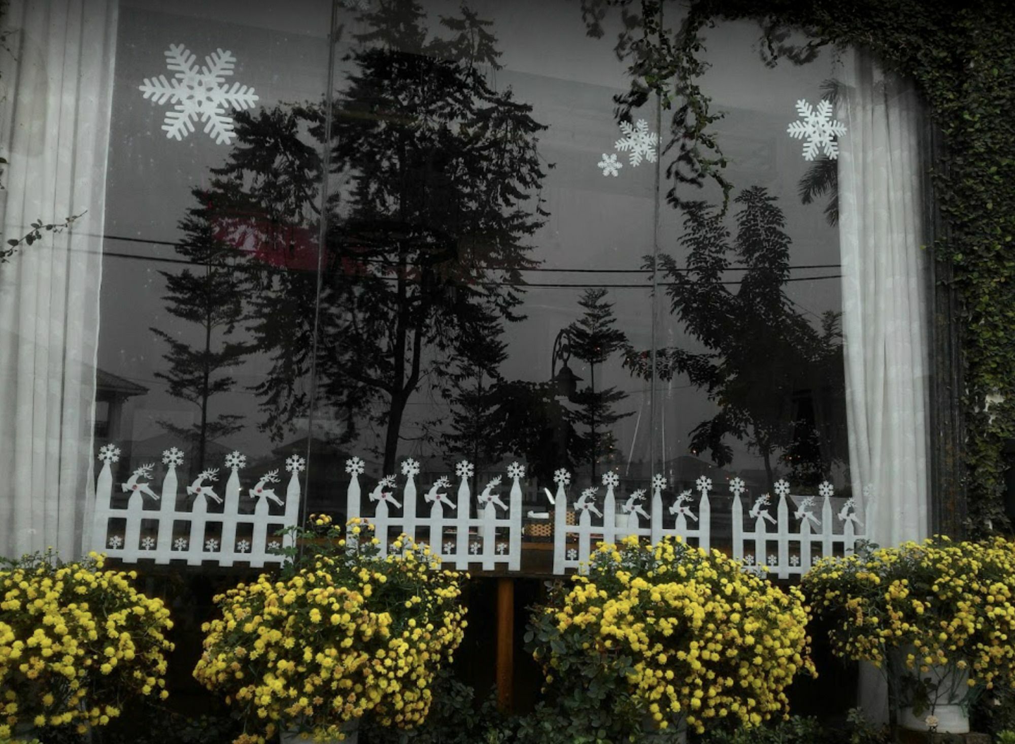 B&B Today Hanoi Hanói Exterior foto